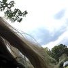 lizziemouse
